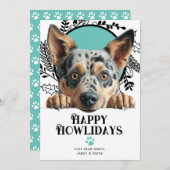 ハッピーハウリデイズオーストラリア牛の犬のクリスマス シーズンカード (正面/裏面)