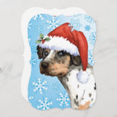 ハッピーハウリデイズカタホラ シーズンカード (正面/裏面)