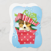 ハッピーハウリデイズシェットランド・ シープドッグ シーズンカード (正面/裏面)