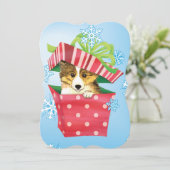 ハッピーハウリデイズシェットランド・ シープドッグ シーズンカード (スタンド正面)