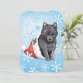 ハッピーハウリデイズシプペルケ シーズンカード (スタンド正面)