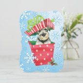 ハッピーハウリデイズスタンダードシュナウザー シーズンカード (スタンド正面)