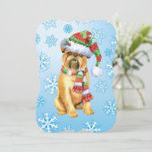 ハッピーハウリデイズブリュッセルグリフォンホリデーカード シーズンカード (スタンド正面)