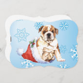 ハッピーハウリデイズブルドッグ シーズンカード (正面/裏面)