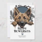 ハッピーハウリデイズベルギーシェパードドッグクリスマス シーズンカード (正面)