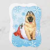 ハッピーハウリデイズベルギーテルヴュレン シーズンカード (正面/裏面)