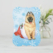 ハッピーハウリデイズベルギーテルヴュレン シーズンカード (スタンド正面)