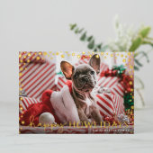 ハッピーハウリデイズペットラバー金ゴールド 箔シーズンカード (立ち正面)