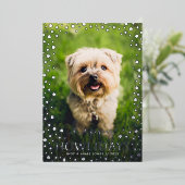 ハッピーハウリデイズペットラバー金ゴールド 箔シーズンカード (立ち正面)