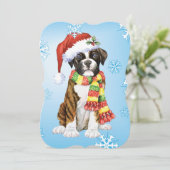 ハッピーハウリデイズボクサー シーズンカード (スタンド正面)