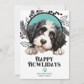 ハッピーハウリデイズポルトガル水犬クリスマス シーズンカード (正面)