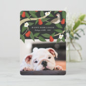 ハッピーハウリデイズ写真 |パートリッジ梨の木 シーズンカード (スタンド正面)