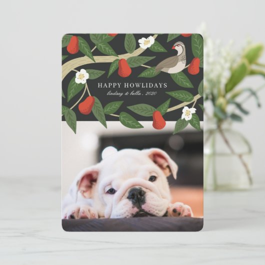 ハッピーハウリデイズ写真 |パートリッジ梨の木 シーズンカード (スタンド正面)