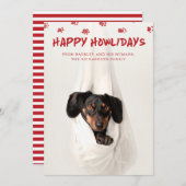 ハッピーハウリデイズ |かわいいペットフォトクリスマス シーズンカード (正面/裏面)