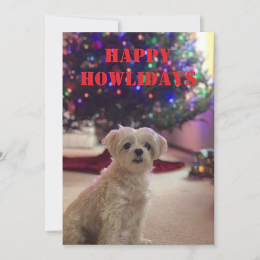 ハッピーハウリデイズ クリスマスカード 招待状 (正面)
