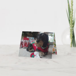 ハッピーハウリデイズ シーズンカード