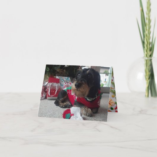 ハッピーハウリデイズ シーズンカード (正面)