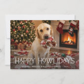 ハッピーハウリデイズ ドッグ クリスマス 写真 楽しい (正面)
