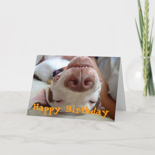 ハッピーハッピーバースデー カード (正面)