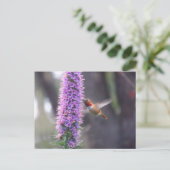 ハッピーハミングバード ポストカード (スタンド正面)