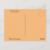 ハッピーハミングバード ポストカード (裏面)