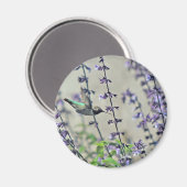 ハッピーハミングバードII マグネット (正面/裏面)