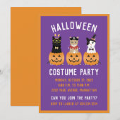 ハッピーハロウィン 猫 ジャック・オ・ランタン 招待状 (正面/裏面)