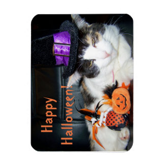 ハッピーハロウィン 魔女 ねこ グリーティングカード マグネット