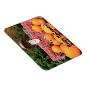 ハッピーハローウィンカボチャのパッチ マグネット (右側)