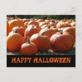 ハッピーハローウィンカボチャ ポストカード (正面)