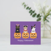 ハッピーハローウィンキャッツハロウィーンのカボチャのちょうちん シーズンポストカード (スタンド正面)