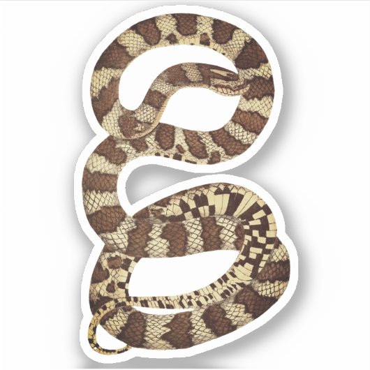 ハッピーハローウィンスネークシール シール (正面)