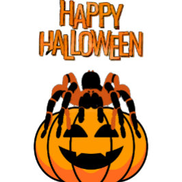 ハッピーハローウィンタランチュラオンザパンプキン Tシャツ