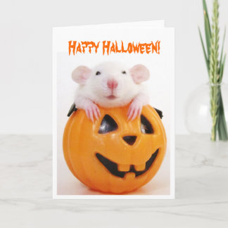 ハッピーハローウィンパンプキンラット カード