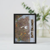 ハッピーハローウィンフェイクスケルトンのMarigold Patch ポストカード (スタンド正面)