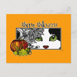 ハッピーハローウィンブラック&ホワイト猫 ポストカード
