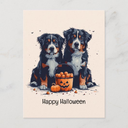 ハッピーハローウィンベルネーズマウンテンドッグスパンプキン ポストカード (正面)