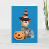 ハッピーハローウィンヨークシャーテリアインコロナウイルス顔マスク シーズンカード (正面)