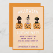 ハッピーハローウィンラブラドールレトリエバードッグズパンプキン 招待状 (正面/裏面)
