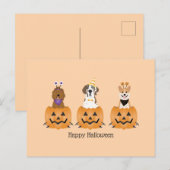 ハッピーハローウィン犬をカボチャに ポストカード (正面/裏面)