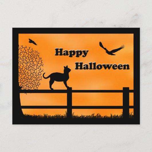 ハッピーハローウィン猫ポストカード ポストカード (正面)