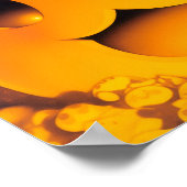 ハッピーハローウィン猫 ポスター (角)