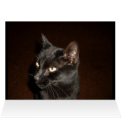 ハッピーハローウィン黒猫カード (内部横(上))