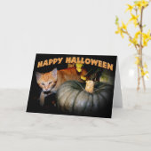 ハッピーハローウィン カード (黄色い花)
