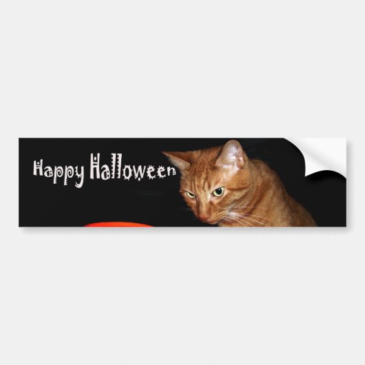 ハッピーハローウィン バンパーステッカー (正面)