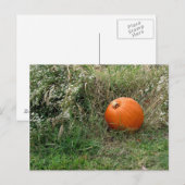 ハッピーハローウィン/感謝祭！ シーズンポストカード (正面/裏面)