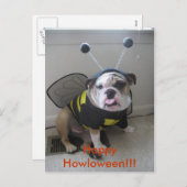 ハッピーハローウィン、英国のブルドッグ シーズンポストカード (正面/裏面)