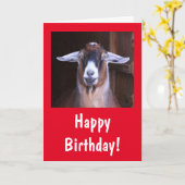 ハッピーハンサムヤギ誕生日 カード (黄色い花)
