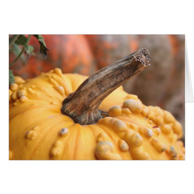 ハッピーハーベスト！ (正面横)