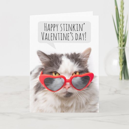ハッピーバレンタインデーおもしろい嫌みな猫 シーズンカード (正面)